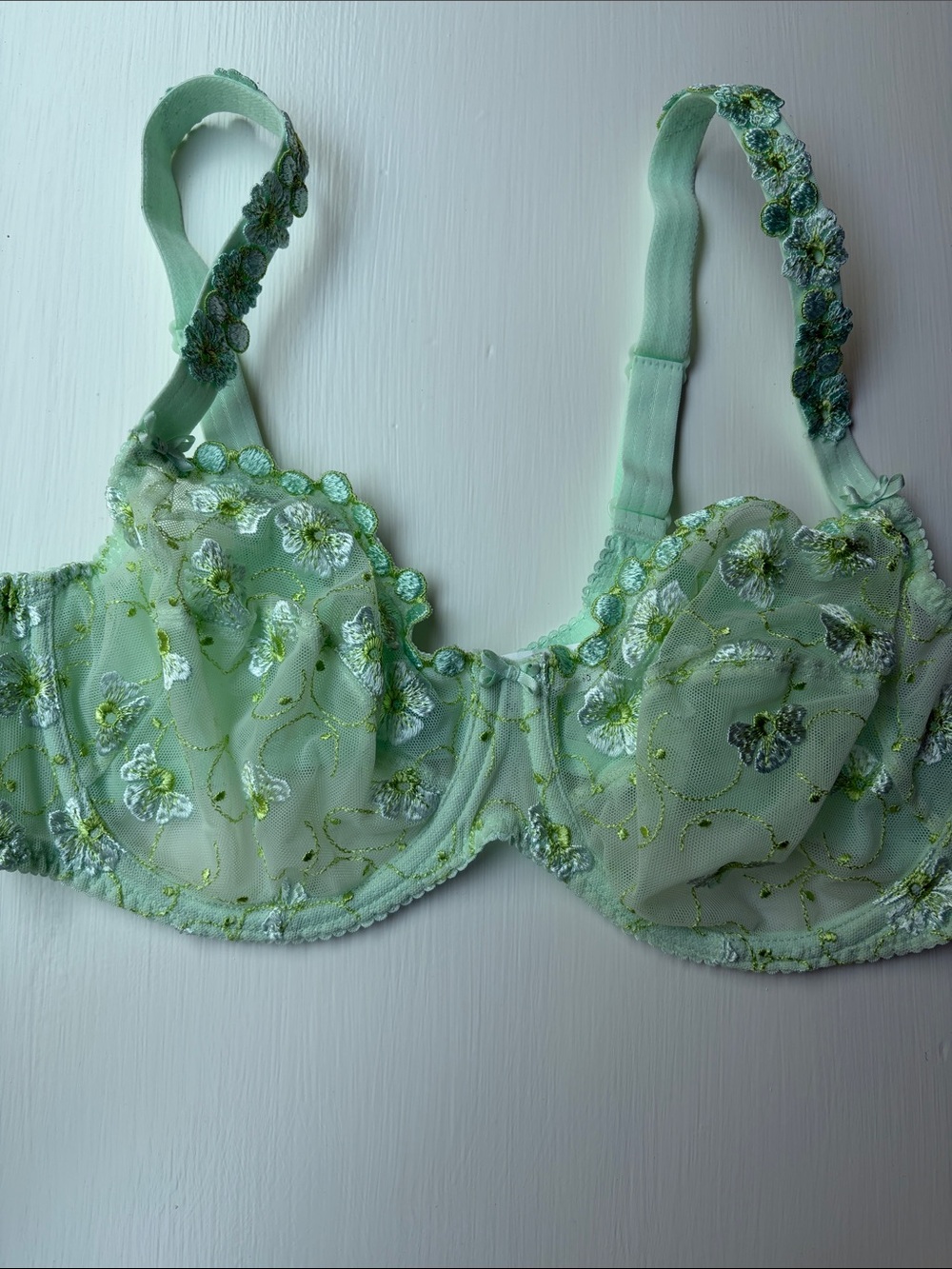 NWT Prima Donna “Mayfair” Mint Green Embroidered Bra US Size 40C